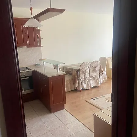公寓 Pomorie Apartment