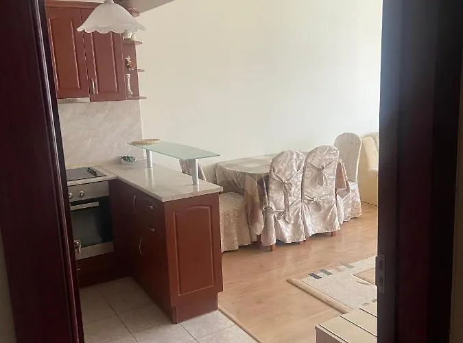 公寓 Pomorie Apartment